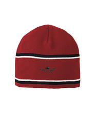 Load image into Gallery viewer, JAXS N CROWN Embroidered Striped Knit Cap
