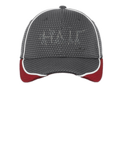 Load image into Gallery viewer, Hair print Embroidered Mesh Cap
