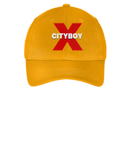 Load image into Gallery viewer, CITYBOY print Port &amp; Company - Embroidered Youth Six-Panel Twill Cap or Similar
