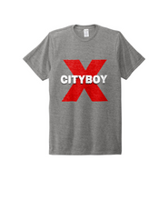 Load image into Gallery viewer, CITYBOY print Allmade® Unisex Tri-Blend Tee or Similar
