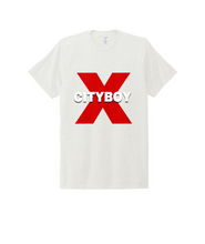 Load image into Gallery viewer, CITYBOY print Allmade® Unisex Tri-Blend Tee or Similar

